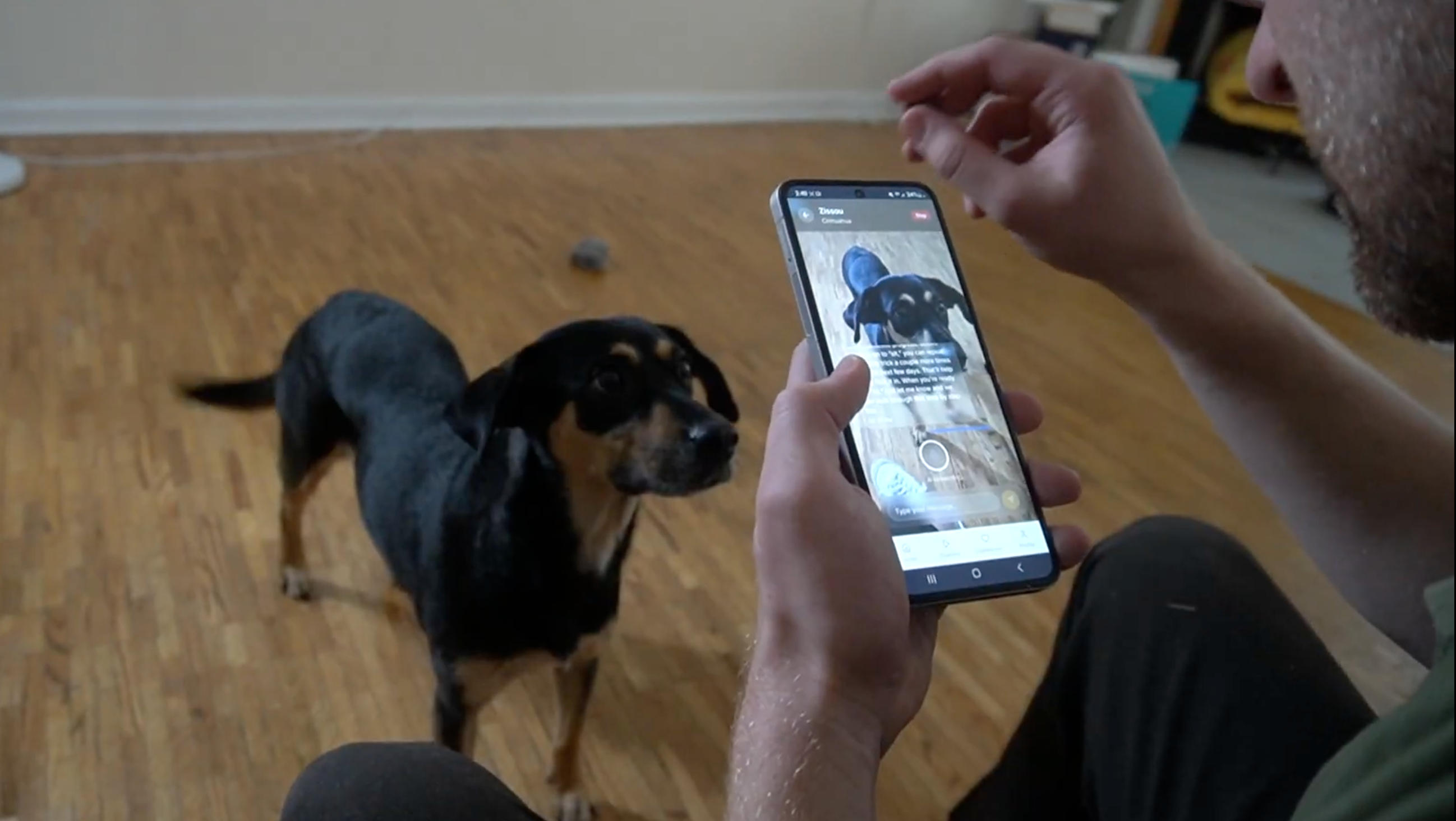 Morning Monitoring at 8AM