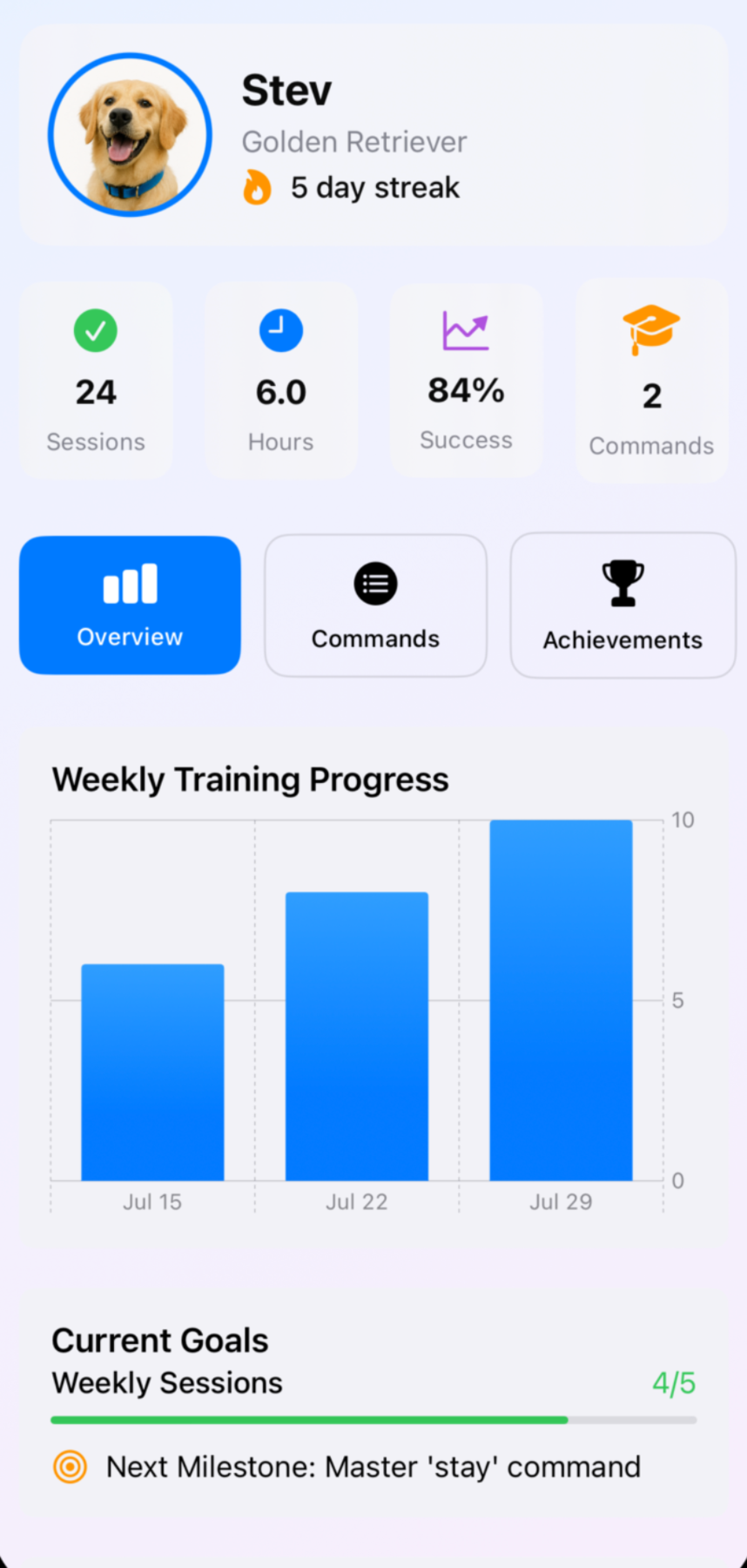 Progress Dashboard
